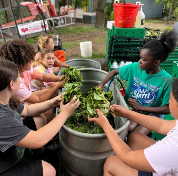 Kids washing vegetables at FarmOn!